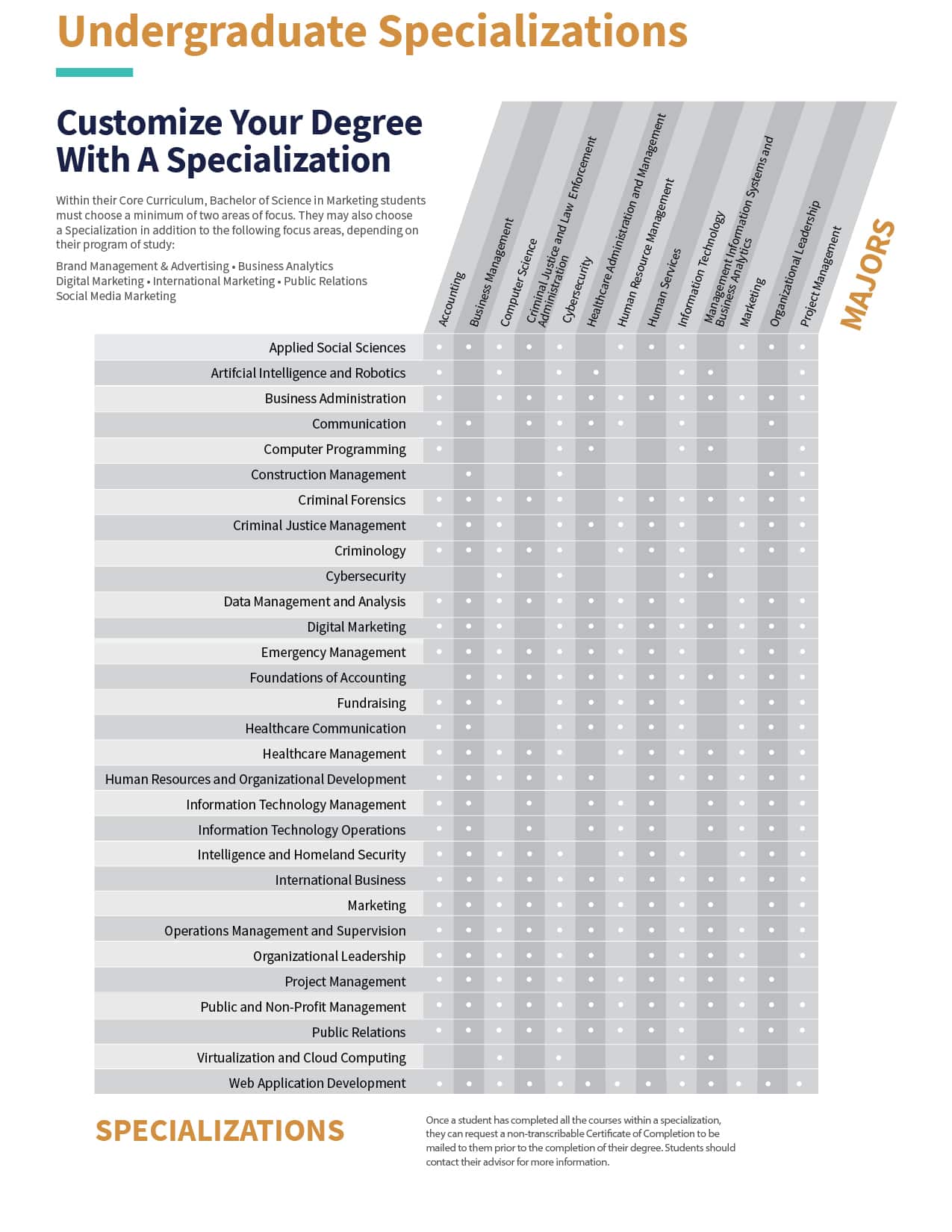 CSU Global Undergraduate Specializations